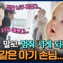 허~~ 몰랐다가.... 유튜브 이것저것 보다보니...체포된 &#39;서진이네&#39; 이미지