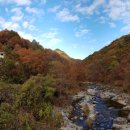 힐링스테이 우드밸리 이미지