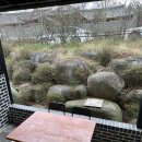 함평예촌 이미지