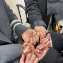 네일더하기 이미지