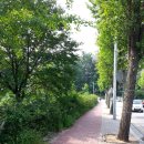 강원대학교사범대학부설고등학교 이미지