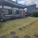 동박생이 | 제주 월정리 펜션 동박생이 방문 후기: 한옥의 정취와 제주 바다의 아름다움을 동시에