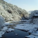 풀꽃향기 이미지