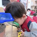 하늘구름 4/3주 놀이사진(나비야, 잘가/ 배변💩 훈련/ 기저귀 안녕/ 내가 찿은 개미 집) 이미지