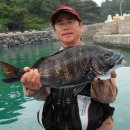 하예동-9 이미지