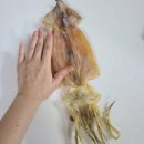 대창건어물 이미지