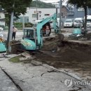 강진-18 이미지