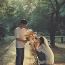 Wedding log #5 베일즈 바네사 드레스 후기