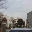 경기도 수원시 영통구 동탄원천로 네이버블로그