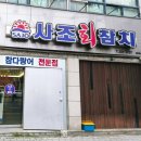 사조선록 상 | 대구 장기동 맛집 사조회참치 | 인생 참치 찾는 날 추천