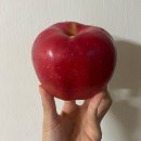 봉곡로-9 이미지