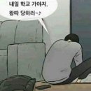 성수일로12길 이미지