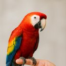 금강마리나(주) 이미지