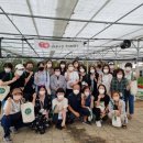 송인농장 이미지