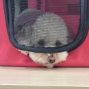 여주켄넬 이미지