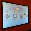 동그라미노래연습장 | 발산에서 제일 시설 좋고 관리 잘되는 곳!! 내부 소파 신기하게 생김 &#34;판타스틱코인노래연습장 발산역점&#34;🎤