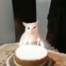 Fromm 이미지