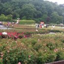 행정사감병기사무소 이미지