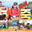 죽도민박 이미지