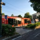 바이온트 이미지