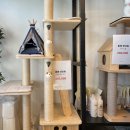 멍냥이 곳간 이미지