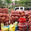 대우건강원 이미지