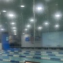 타잔 B&G 어린이 수영장 | 하남 미사 어린이수영장 타잔B&amp;G 7살 평영후기 / 초1 학원 추천