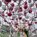 봉화마을길 이미지