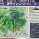 동부번역 이미지