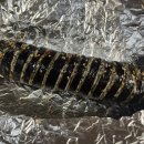 세븐일레븐 창원중앙용지점 | 땡초김밥 창원중앙용지점 | 방문 후기, 포장 | 맵찔이 주의