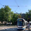 엘케이 푸드(LK FOOD) | 🇳🇱 네덜란드 여행 3일차 - 마네킨피스 감자튀김, 기차 타고 덴하그(헤이그) 여행, Park Centraal Den...