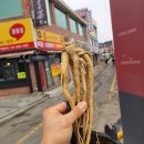 횡성상회 이미지