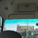 반달염소농장 | 호주 워홀 브리즈번 - 무게라 은하수 여행 후기 현대여행사 데이투어 낙타농장 호수 포토 스팟 마운틴 쿠사