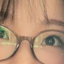 아비드안경 콘택트 이미지