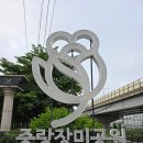 5월19일(월), 중량구 중량천 중량 장미축제 여행후기 이미지