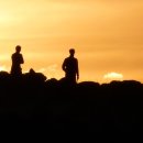 형도농장 이미지