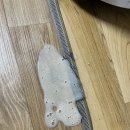 24시 로운동물의료센터 이미지