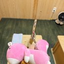 따뜻한 손 안마원 이미지