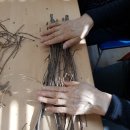 압화&보존화공예 이미지