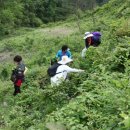 영양중앙초등학교 이미지