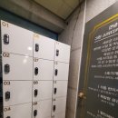 그린스터디