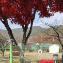펜션 THE 쉼 이미지
