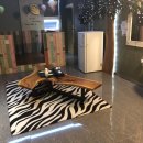 레몬무인텔 이미지