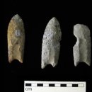 클로비스 이미지