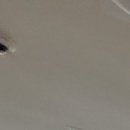 마이플란트치과의원 이미지