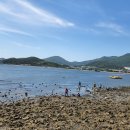 소죽도 Daum카페