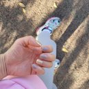 그레이 레깅스 여성 여자 기모 여성용 가을