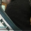 스페셜독 이미지