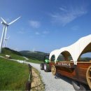 창건목장 이미지