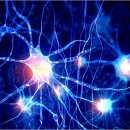 의료법인 사랑나무의료재단 서수원병원 | 수원 머리 어지러움 권선구 호매실 화홍병원 신경과